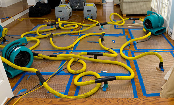 Professional Crawl Space Water Removal technician working in Pendleton, IN